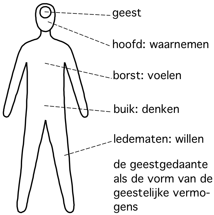 knoflook adelaar Verbanning geestgedaante